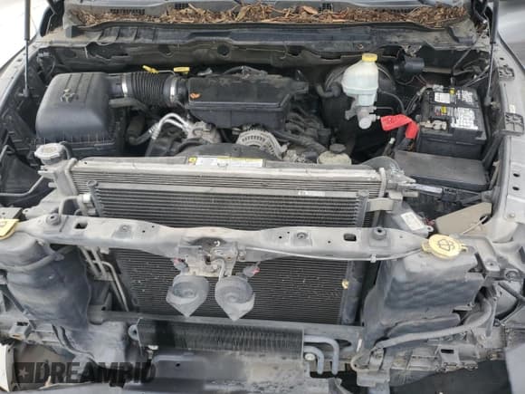 ✅ 2010 Dodge 1500 SLT • VIN: 1D7RV1GP6AS105395 • Lot: 91826225. Listed on Copart with 170,191 mi. Free auction sales archive from the USA and detailed vehicle history report at DreamBid. Image 11.