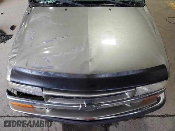 1999 Chevrolet Blazer LT с VIN 1GNDT13W2X2183549, выставлен на аукционе Copart как лот 66167245 с пробегом Не указан миль и Списание • Salvage title. История ставок и продаж доступна на DreamBid. Изображение 12.