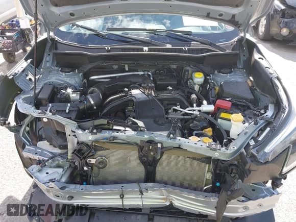 ✅ 2024 Subaru Forester Premium • VIN: JF2SKADC6RH408211 • Lot: 42296810. Listed on IAAI with 7,785 mi. Free auction sales archive from the USA and detailed vehicle history report at DreamBid. Image 10.