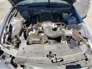 ✅ 2006 Ford Mustang GT Deluxe • VIN: 1ZVHT82H065188622 • Lot: 69992435. Listed on Copart with Not provided. Free auction sales archive from the USA and detailed vehicle history report at DreamBid. Image 11.