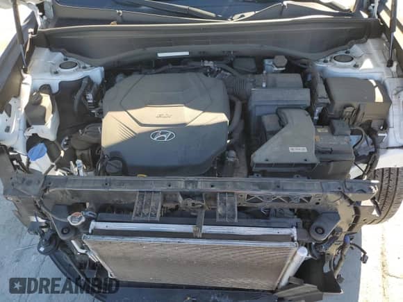 2020 Hyundai Palisade Limited с VIN KM8R5DHE2LU042873, выставлен на аукционе Copart как лот 76957074 с пробегом 72 444 миль миль и Списание • Salvage title. История ставок и продаж доступна на DreamBid. Изображение 12.