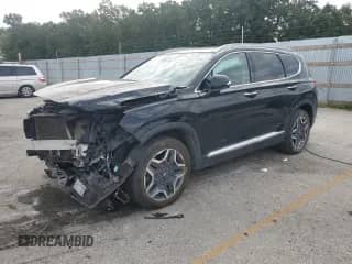 2021 Hyundai Santa Fe Limited with VIN 5NMS44AL7MH315865, listed as a Copart auction lot 80151605 with 76,513 mi miles and Salvage title. Bid and sale history available at DreamBid. Image 1.