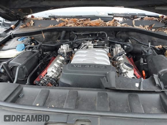 ✅ 2008 Audi Q7 Premium • VIN: WA1BV74L48D027949 • Lot: 41516485. Wystawiony na IAAI z przebiegiem 265 032 mil. Bezpłatny archiwum sprzedaży aukcyjnych z USA i szczegółowy raport historii pojazdu na DreamBid. Zdjęcie 10.