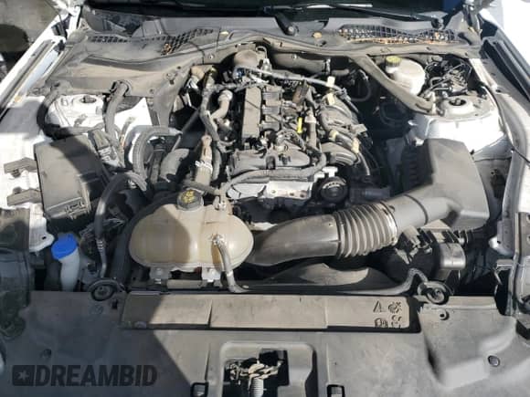 2023 Ford Mustang EcoBoost Premium с VIN 1FATP8UH6P5105457, выставлен на аукционе Copart как лот 84483175 с пробегом 72 157 миль миль и Списание • Salvage title. История ставок и продаж доступна на DreamBid. Изображение 11.