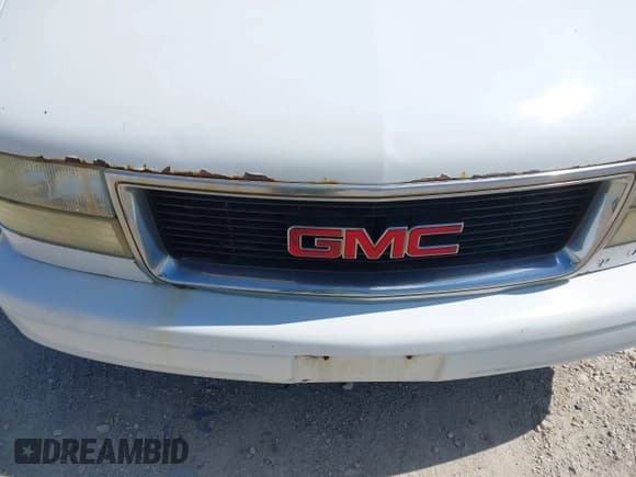 ✅ 2003 GMC Safari • VIN: 1GKDM19X43B504933 • Lot: 41832532. Listed on IAAI with 123,055 mi. Free auction sales archive from the USA and detailed vehicle history report at DreamBid. Image 6.