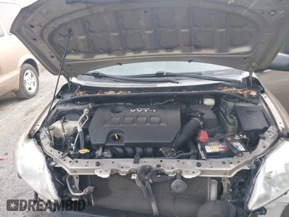 ✅ 2009 Toyota Corolla LE • VIN: 1NXBU40E99Z020989 • Lot: 43728473. Listed on IAAI with 228,636 mi. Free auction sales archive from the USA and detailed vehicle history report at DreamBid. Image 10.