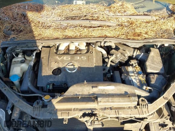 ✅ 2004 Nissan Quest SL • VIN: 5N1BV28U64N332378 • Lot: 41300586. Listed on IAAI with 183,452 mi. Free auction sales archive from the USA and detailed vehicle history report at DreamBid. Image 10.