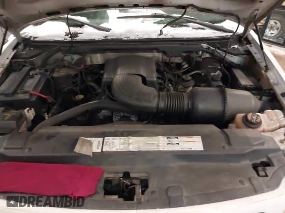 ✅ 2000 Ford F-150 • VIN: 2FTRX08W6YCA09298 • Lot: 41391038. Listed on IAAI with 179,738 mi. Free auction sales archive from the USA and detailed vehicle history report at DreamBid. Image 10.