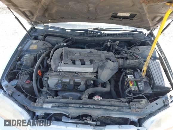 2001 Honda Accord EX с VIN 1HGCG22591A013582, выставлен на аукционе IAAI как лот 42402702 с пробегом 253 818 миль миль и . История ставок и продаж доступна на DreamBid. Изображение 10.