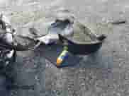 2019 Hyundai Sonata SE with VIN 5NPE24AFXKH814205, listed as a Copart auction lot 90219595 with 88,287 mi miles and Salvage title. Bid and sale history available at DreamBid. Image 12.