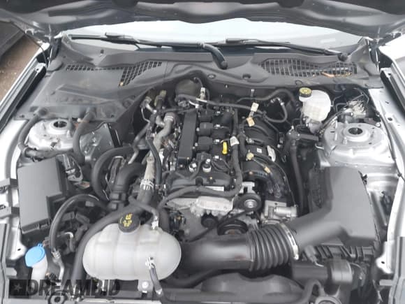 ✅ 2023 Ford Mustang EcoBoost • VIN: 1FA6P8TH9P5105743 • Лот: 42525135. Опубликован ранее на IAAI с пробегом 31 116 миль. Бесплатный доступ к архиву аукционных продаж из США и подробный отчёт об истории автомобиля на DreamBid. Изображение 10.