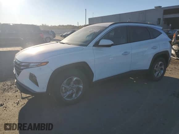 2024 Hyundai Tucson SEL with VIN 5NMJB3DE6RH422003, listed as a Copart auction lot 87216005 with 35,281 mi miles and Clean title. Bid and sale history available at DreamBid. Image 1.