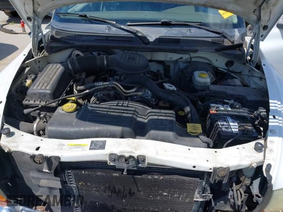 ✅ 2003 Dodge Dakota SLT • VIN: 1D7HL48X73S126440 • Lot: 42330513. Wystawiony na IAAI z przebiegiem 223 959 mil. Bezpłatny archiwum sprzedaży aukcyjnych z USA i szczegółowy raport historii pojazdu na DreamBid. Zdjęcie 10.