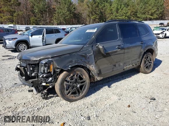 ✅ 2024 Kia Telluride SX Prestige X-Line • VIN: 5XYP5DGCXRG432982 • Lot: 93007055. Wystawiony na Copart z przebiegiem 19 086 mil. Bezpłatny archiwum sprzedaży aukcyjnych z USA i szczegółowy raport historii pojazdu na DreamBid. Zdjęcie 1.