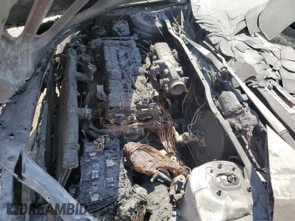 ✅ 2009 Hyundai Accent Auto GLS • VIN: KMHCN46C79U312695 • Лот: 65011765. Опубликован ранее на Copart с пробегом Не указан. Бесплатный доступ к архиву аукционных продаж из США и подробный отчёт об истории автомобиля на DreamBid. Изображение 11.