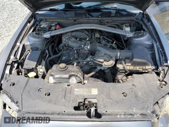 ✅ 2013 Ford Mustang V6 • VIN: 1ZVBP8EM0D5280829 • Lot: 63987225. Wystawiony na Copart z przebiegiem 215 721 mil. Bezpłatny archiwum sprzedaży aukcyjnych z USA i szczegółowy raport historii pojazdu na DreamBid. Zdjęcie 11.