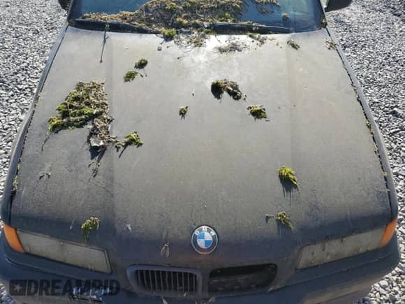 1998 BMW 3 Series 328i with VIN WBACD4329WAV61738, listed as a Copart auction lot 68561744 with Not provided miles and Salvage title. Bid and sale history available at DreamBid. Image 11.