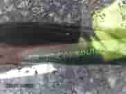 2022 Chevrolet Traverse High Country с VIN 1GNEVNKW4NJ174300, выставлен на аукционе IAAI как лот 40675860 с пробегом 20 465 миль миль и . История ставок и продаж доступна на DreamBid. Изображение 19.