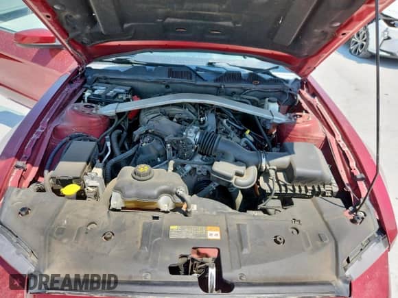 2014 Ford Mustang V6 с VIN 1ZVBP8EMXE5277941, выставлен на аукционе Copart как лот 68378785 с пробегом 112 277 миль миль и Списание • Salvage title. История ставок и продаж доступна на DreamBid. Изображение 11.