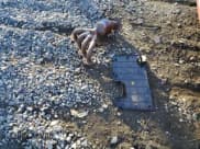 ✅ 2010 Chevrolet Aveo 1LT • VIN: KL1TD6DE2AB134354 • Lot: 43134985. Wystawiony na Copart z przebiegiem Nie podano. Bezpłatny archiwum sprzedaży aukcyjnych z USA i szczegółowy raport historii pojazdu na DreamBid. Zdjęcie 12.