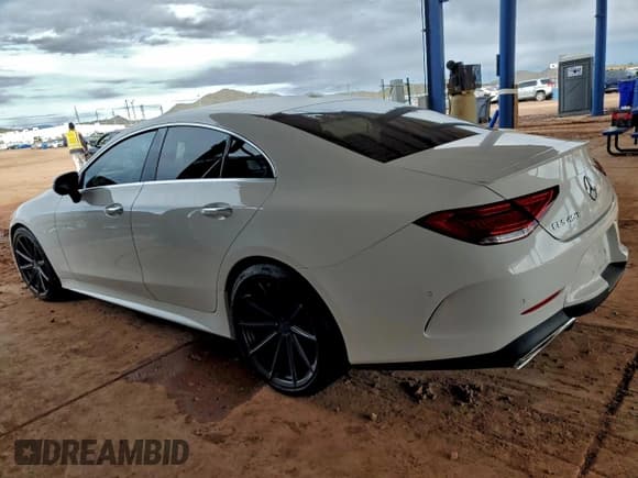 ✅ 2019 Mercedes-Benz CLS 450 • VIN: WDD2J5JBXKA010332 • Lot: 93714235. Listed on Copart with Not provided. Free auction sales archive from the USA and detailed vehicle history report at DreamBid. Image 2.