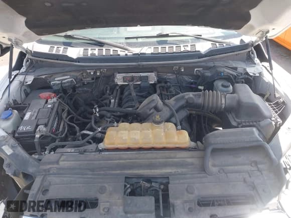 ✅ 2017 Ford F-150 XL • VIN: 1FTEW1EF8HFC09583 • Lot: 42562854. Listed on IAAI with 183,016 mi. Free auction sales archive from the USA and detailed vehicle history report at DreamBid. Image 10.