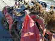 2001 Chevrolet Silverado 1500 с VIN 1GCEK14W61Z235620, выставлен на аукционе Copart как лот 76887924 с пробегом Не указан миль и На запчасти • Non repairable. История ставок и продаж доступна на DreamBid. Изображение 8.