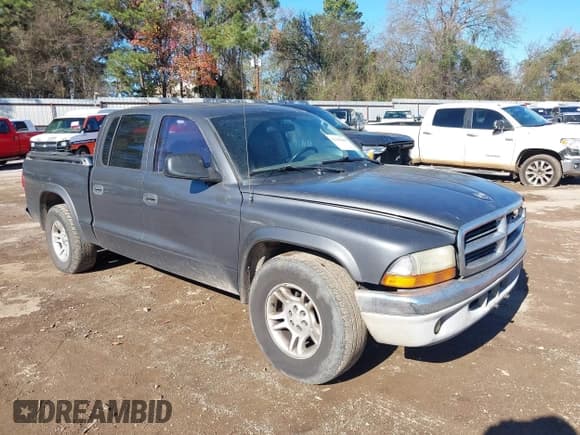 ✅ 2003 Dodge Dakota SLT • VIN: 1D7HL48X03S174569 • Lot: 41159169. Wystawiony na IAAI z przebiegiem 156 551 mil. Bezpłatny archiwum sprzedaży aukcyjnych z USA i szczegółowy raport historii pojazdu na DreamBid. Zdjęcie 1.