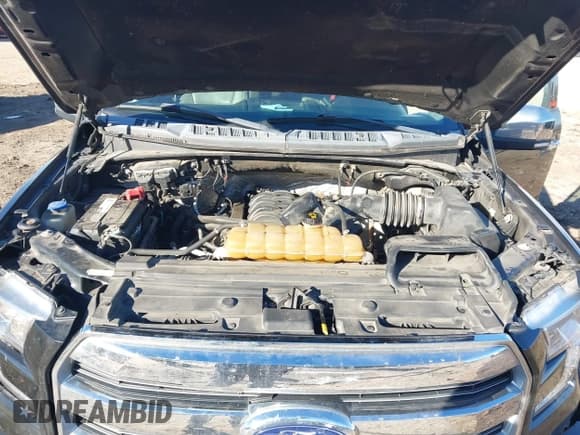 ✅ 2015 Ford F-150 XLT • VIN: 1FTFW1EFXFKD65200 • Lot: 43621578. Listed on IAAI with 186,088 mi. Free auction sales archive from the USA and detailed vehicle history report at DreamBid. Image 10.