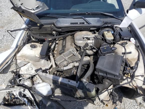 ✅ 1995 BMW 3 Series 318i • VIN: WBABK6325SED18057 • Лот: 48123025. Опубликован ранее на Copart с пробегом 121 572 миль. Бесплатный доступ к архиву аукционных продаж из США и подробный отчёт об истории автомобиля на DreamBid. Изображение 12.