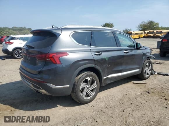 ✅ 2023 Hyundai Santa Fe SEL • VIN: 5NMS3DAJ4PH606054 • Lot: 81433425. Wystawiony na Copart z przebiegiem 46 944 mil. Bezpłatny archiwum sprzedaży aukcyjnych z USA i szczegółowy raport historii pojazdu na DreamBid. Zdjęcie 3.