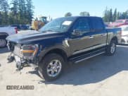 ✅ 2025 Ford F-150 XLT • VIN: 1FTEW3LP2SKE14192 • Лот: 43242819. Опубликован ранее на IAAI с пробегом 9 599 миль. Бесплатный доступ к архиву аукционных продаж из США и подробный отчёт об истории автомобиля на DreamBid. Изображение 2.