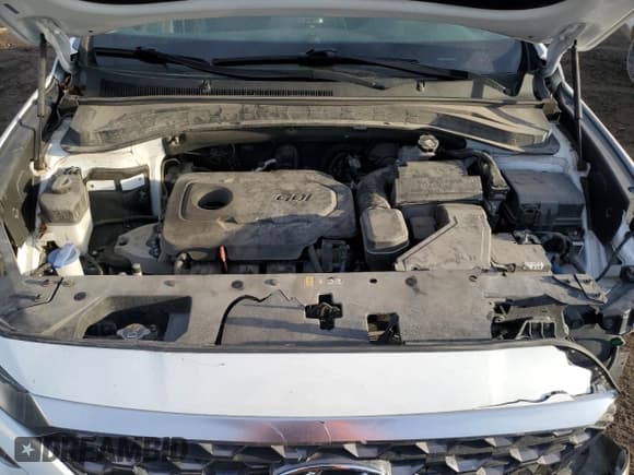 ✅ 2019 Hyundai Santa Fe SEL • VIN: 5NMS3CAD6KH074092 • Lot: 40244244. Wystawiony na Copart z przebiegiem 55 970 mil. Bezpłatny archiwum sprzedaży aukcyjnych z USA i szczegółowy raport historii pojazdu na DreamBid. Zdjęcie 11.