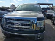 ✅ 2013 Ford F-150 XLT • VIN: 1FTFW1CT8DKE04775 • Лот: 43588555. Опубликован ранее на IAAI с пробегом 106 972 миль. Бесплатный доступ к архиву аукционных продаж из США и подробный отчёт об истории автомобиля на DreamBid. Изображение 12.