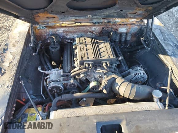 ✅ 1969 Chevrolet Camaro • VIN: 123679N704757 • Lot: 79714694. Listed on Copart with Not provided. Free auction sales archive from the USA and detailed vehicle history report at DreamBid. Image 11.