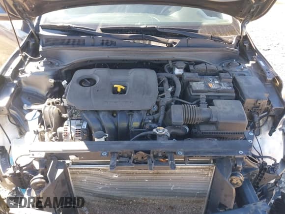 ✅ 2023 Kia Forte LXS • VIN: 3KPF24AD2PE608262 • Lot: 43429969. Listed on IAAI with 53,919 mi. Free auction sales archive from the USA and detailed vehicle history report at DreamBid. Image 10.