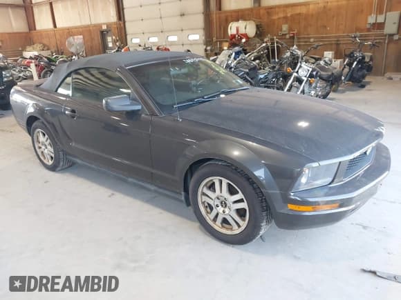 ✅ 2007 Ford Mustang Deluxe • VIN: 1ZVHT84N575330273 • Lot: 43074318. Listed on IAAI with 101,913 mi. Free auction sales archive from the USA and detailed vehicle history report at DreamBid. Image 1.