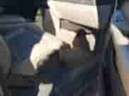 2000 Chevrolet Suburban LT с VIN 3GNFK16T7YG129363, выставлен на аукционе IAAI как лот 41586348 с пробегом 150 111 миль миль и . История ставок и продаж доступна на DreamBid. Изображение 5.