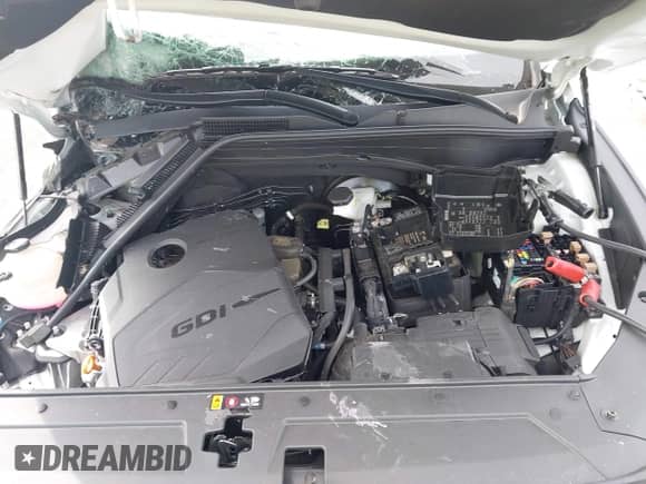 2023 Hyundai Santa Fe SEL с VIN 5NMS2DAJ8PH513427, выставлен на аукционе IAAI как лот 43082335 с пробегом 46 194 миль миль и . История ставок и продаж доступна на DreamBid. Изображение 10.