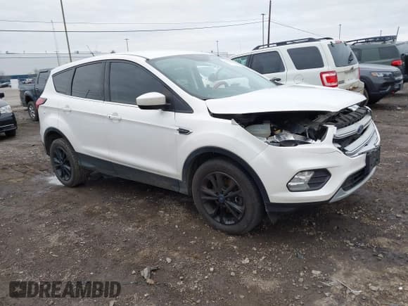 ✅ 2019 Ford Escape SE • VIN: 1FMCU9GD0KUB22962 • Lot: 43624487. Listed on IAAI with 80,842 mi. Free auction sales archive from the USA and detailed vehicle history report at DreamBid. Image 1.