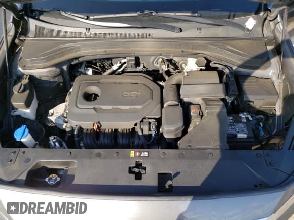 ✅ 2019 Hyundai Santa Fe SE • VIN: 5NMS2CAD0KH128019 • Lot: 70981433. Wystawiony na Copart z przebiegiem 50 255 mil. Bezpłatny archiwum sprzedaży aukcyjnych z USA i szczegółowy raport historii pojazdu na DreamBid. Zdjęcie 11.