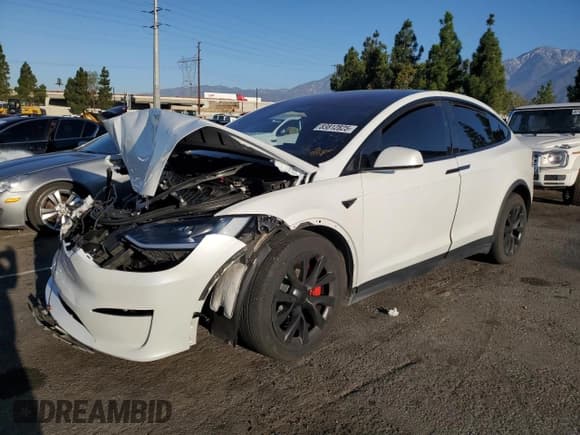 ✅ 2023 Tesla Model X Plaid • VIN: 7SAXCBE67PF409108 • Lot: 83812825. Wystawiony na Copart z przebiegiem Nie podano. Bezpłatny archiwum sprzedaży aukcyjnych z USA i szczegółowy raport historii pojazdu na DreamBid. Zdjęcie 1.
