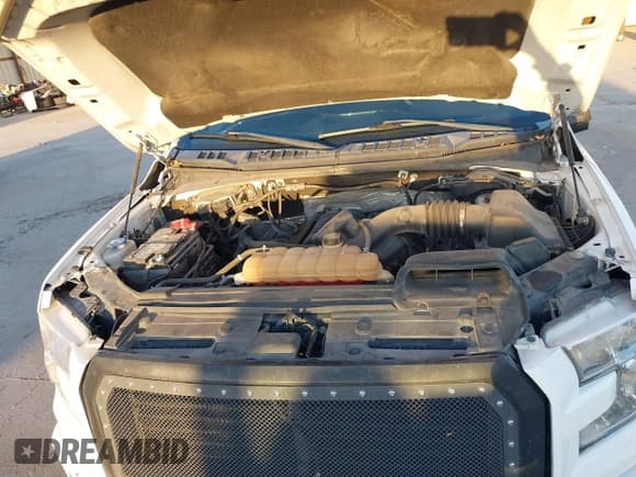 ✅ 2017 Ford F-150 XL • VIN: 1FTEW1EF1HKE48495 • Lot: 42264519. Listed on IAAI with 132,717 mi. Free auction sales archive from the USA and detailed vehicle history report at DreamBid. Image 10.