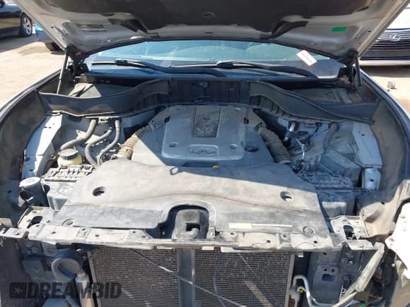 ✅ 2010 Infiniti FX • VIN: JN8AS1MWXAM856066 • Lot: 43250025. Wystawiony na IAAI z przebiegiem 146 439 mil. Bezpłatny archiwum sprzedaży aukcyjnych z USA i szczegółowy raport historii pojazdu na DreamBid. Zdjęcie 10.