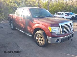✅ 2010 Ford F-150 XL • VIN: 1FTFW1EV1AFD04486 • Lot: 43536124. Wystawiony na IAAI z przebiegiem 272 805 mil. Bezpłatny archiwum sprzedaży aukcyjnych z USA i szczegółowy raport historii pojazdu na DreamBid. Zdjęcie 1.