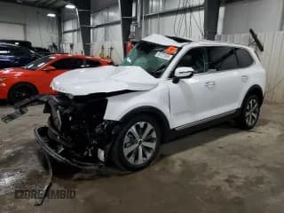 ✅ 2022 Kia Telluride S • VIN: 5XYP6DHC6NG289891 • Lot: 65721935. Wystawiony na Copart z przebiegiem 30 477 mil. Bezpłatny archiwum sprzedaży aukcyjnych z USA i szczegółowy raport historii pojazdu na DreamBid. Zdjęcie 1.