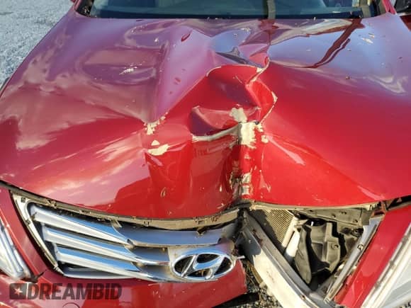 2014 Hyundai Azera Limited с VIN KMHFH4JG1EA371039, выставлен на аукционе Copart как лот 81069264 с пробегом Не указан миль и Списание • Salvage title. История ставок и продаж доступна на DreamBid. Изображение 12.