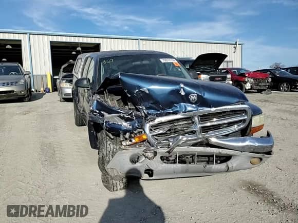 2004 Dodge Dakota SLT with VIN 1D7HG48N24S528189, listed as a Copart auction lot 79819114 with 203,056 mi miles and Salvage title. Bid and sale history available at DreamBid. Image 11.