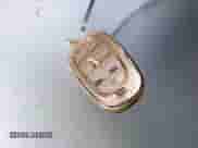 2024 Hyundai Tucson SEL with VIN 5NMJBCDE0RH322706, listed as a IAAI auction lot 43450594 with 47,508 mi miles and . Bid and sale history available at DreamBid. Image 11.