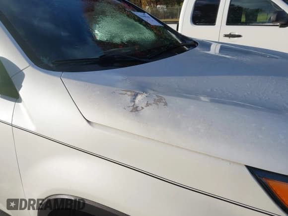 ✅ 2012 Kia Sorento LX • VIN: 5XYKTCA63CG231879 • Lot: 43668750. Listed on IAAI with 192,396 mi. Free auction sales archive from the USA and detailed vehicle history report at DreamBid. Image 6.